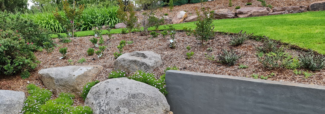 landscaping Bundoora